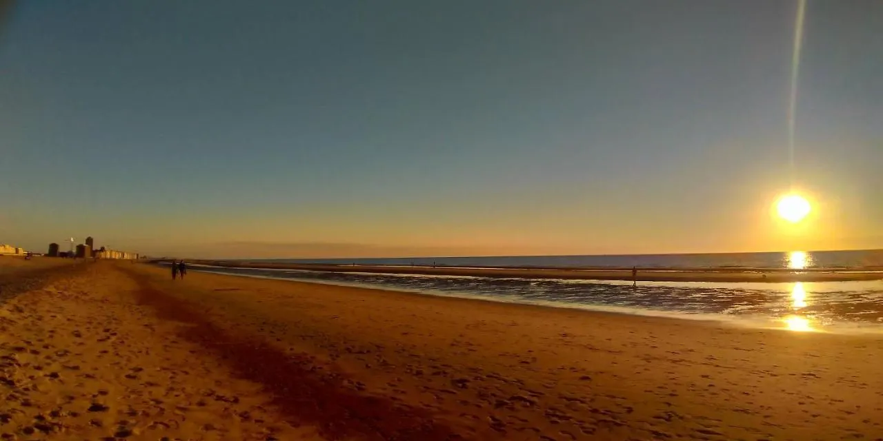 B&B Belle De Nuit Ostend